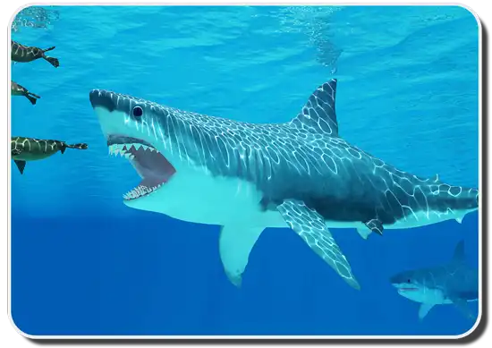 megalodon shark vs whale shark